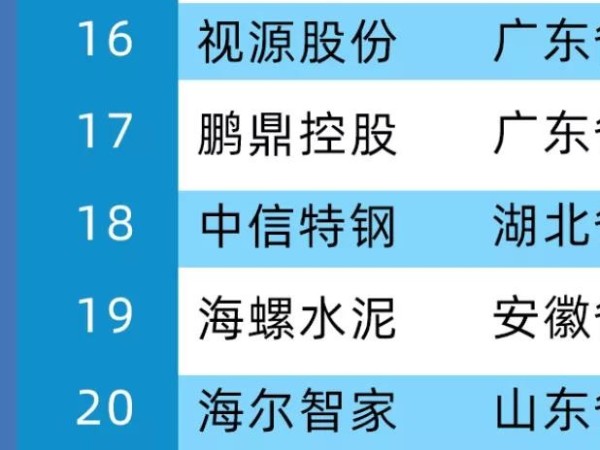 2020年中国制造业价值500强，MAXHUB母公司视源股份位居第16位